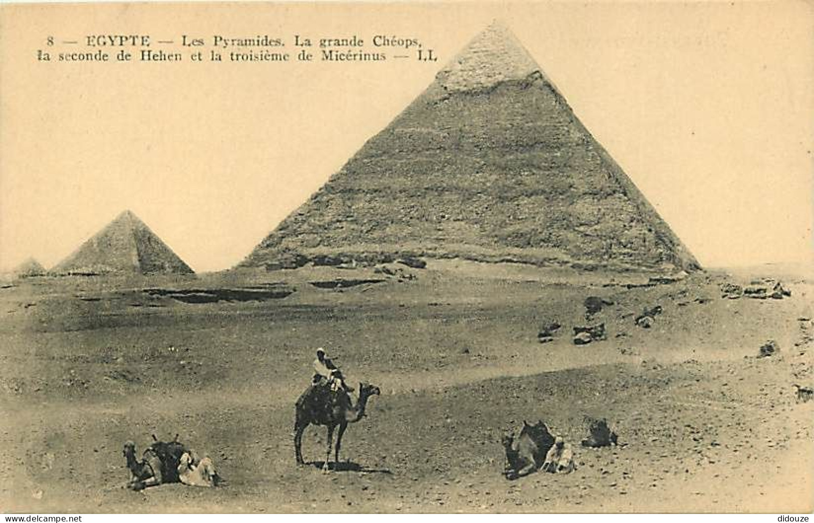 Egypte - Gizeh - Les Pyramides - La Grande De Chéops - La Seconde De Hehen Et La Troisième De Micérinus - Animée - Chame - Gizeh