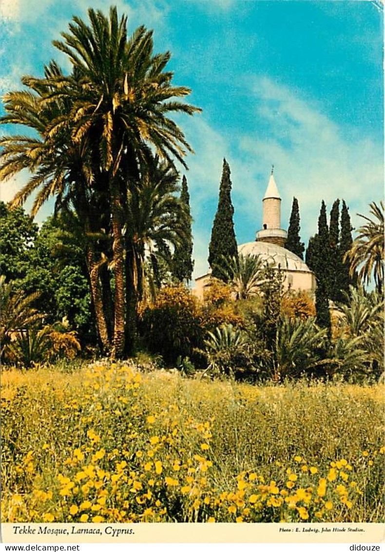 Chypre - Cyprus - Larnaca - Tekke Mosque - CPM - Voir Scans Recto-Verso - Chypre