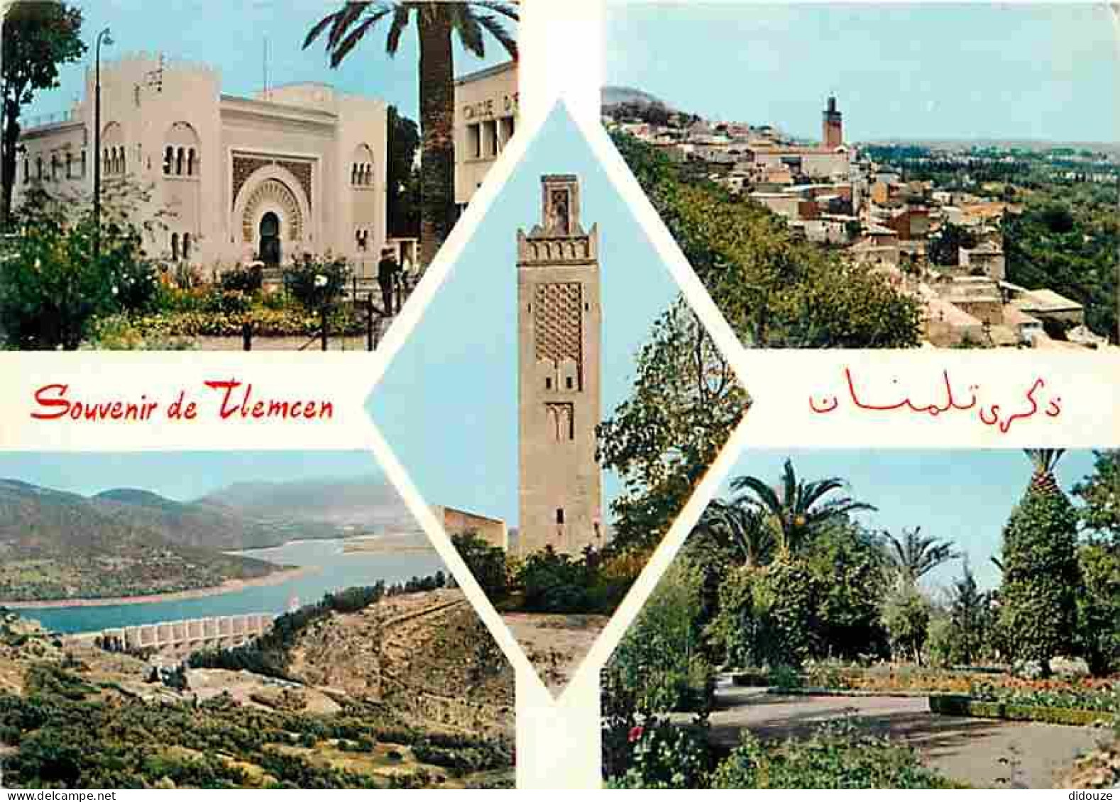 Algérie - Tlemcen - Multivues - CPM - Voir Scans Recto-Verso - Tlemcen