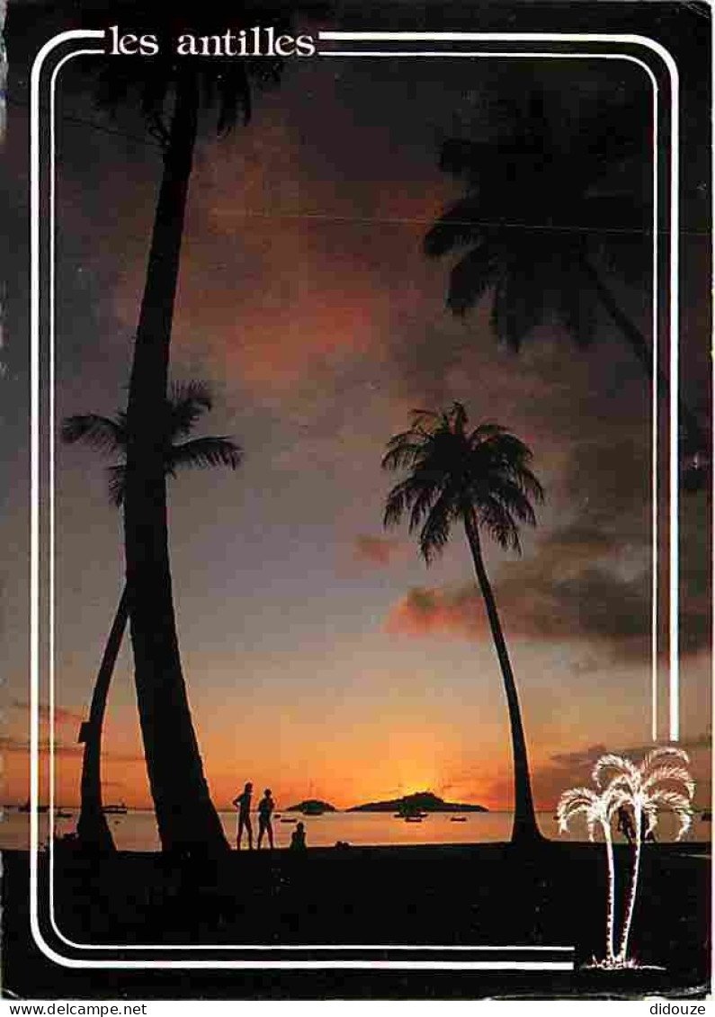 Antilles - Coucher De Soleil Sur La Cote Caraibe - CPM - Voir Scans Recto-Verso - Andere & Zonder Classificatie