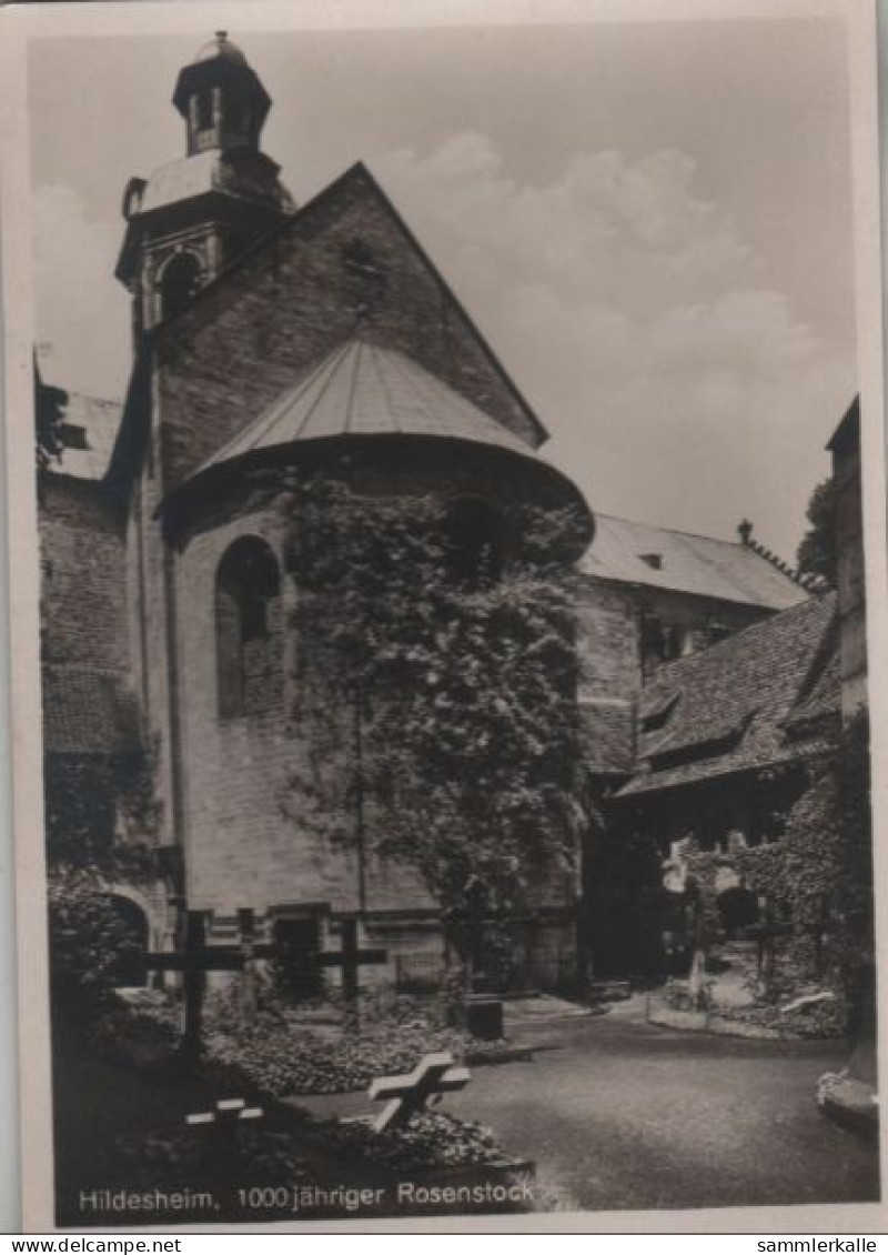 56835 - Hildesheim - Rosenstock - Ca. 1955 - Hildesheim