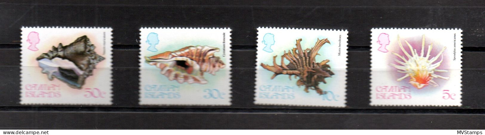 Cayman Islands 1980 Set Sealife/Fish/Meerestiere Stamps (Michel 448/51) Nice MNH - Caimán (Islas)