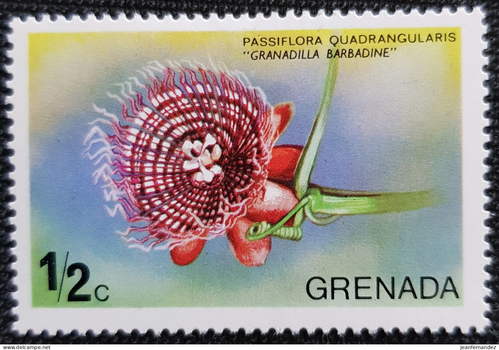 Grenade 1975 Flower  Stampworld N° 640 - Grenada (1974-...)