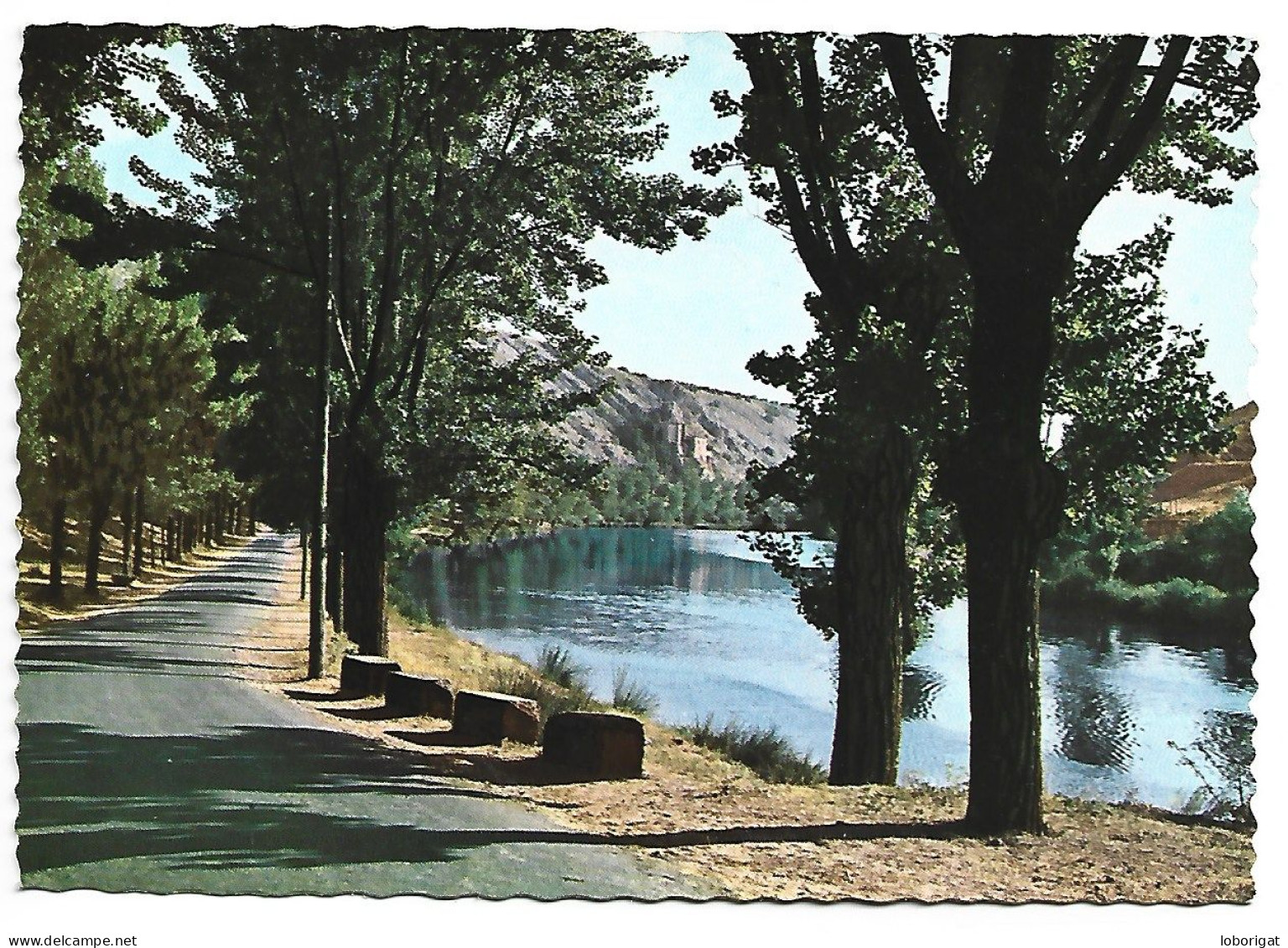 RIO DUERO Y CAMINO DE SAN SATURIO / DOURO RIVER AND WAY TOWARDS ST. SATURIO.-  SORIA.- ( ESPAÑA ) - Soria