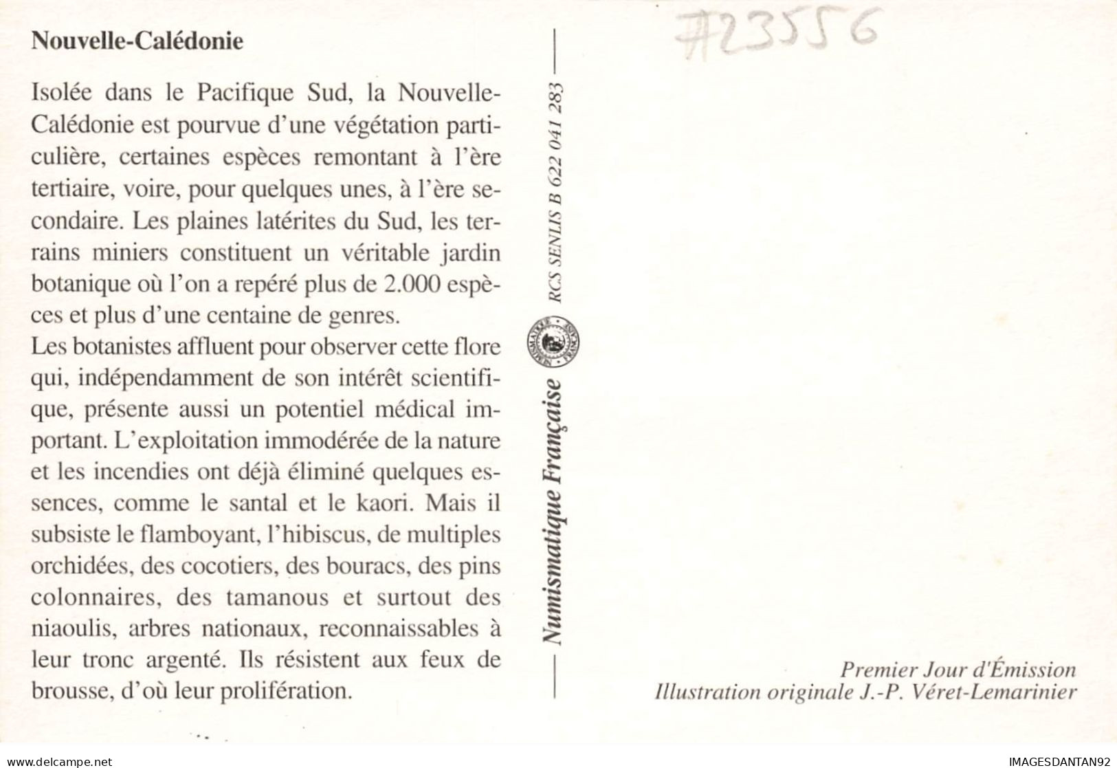 CARTE MAXIMUM #23556 NOUVELLE CALEDONIE NOUMEA 1994 FLORE CALEDONIENNE - Cartoline Maximum