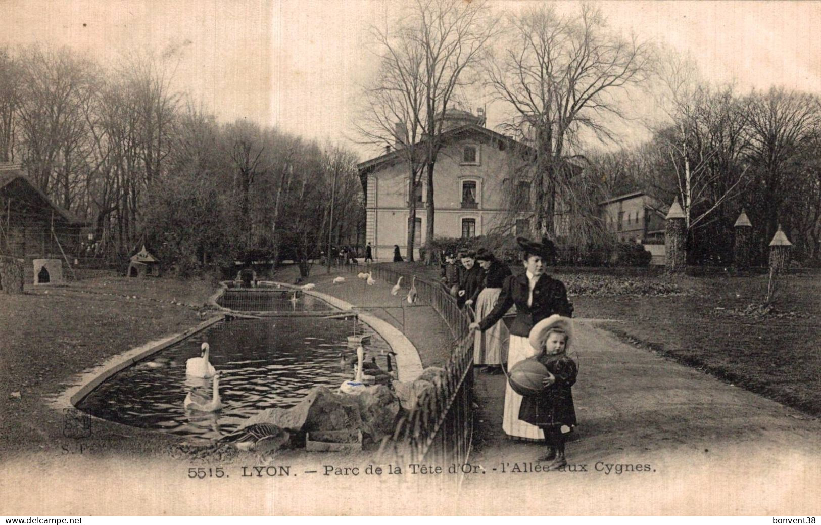 K2503 - Parc De La Tête D'Or - LYON - D69 - L'Allée Aux Cygnes - Lyon 6