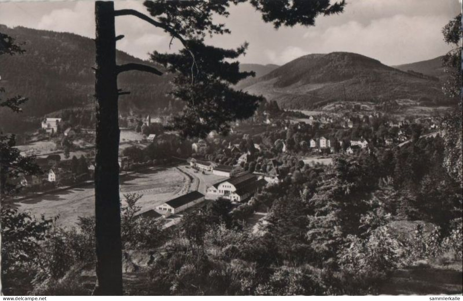 85328 - Bad Herrenalb - Blick Vom Falkenstein - Ca. 1960 - Bad Herrenalb