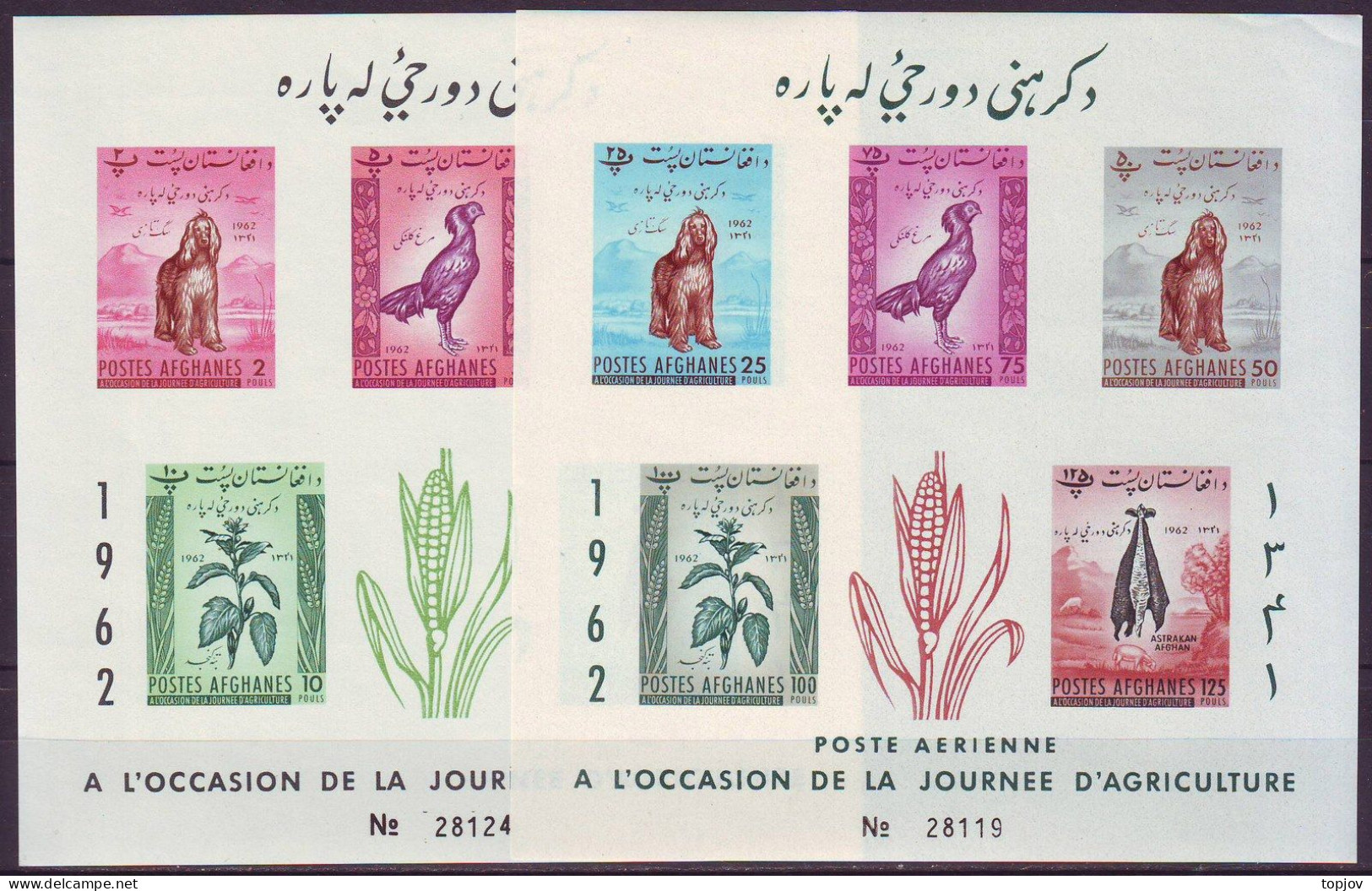 AFGHANISTAN - AGRICULTURE DAY - PERF.+ IMPERF DOG ASTRAKAN PHEASANT CORN - 4MS - **MNH - 1962 - Farm