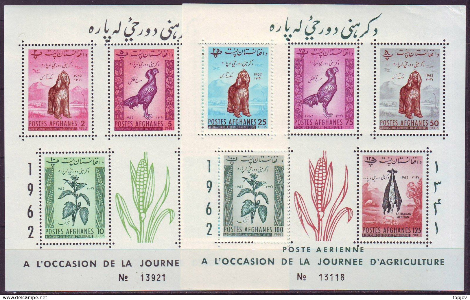 AFGHANISTAN - AGRICULTURE DAY - PERF.+ IMPERF DOG ASTRAKAN PHEASANT CORN - 4MS - **MNH - 1962 - Farm