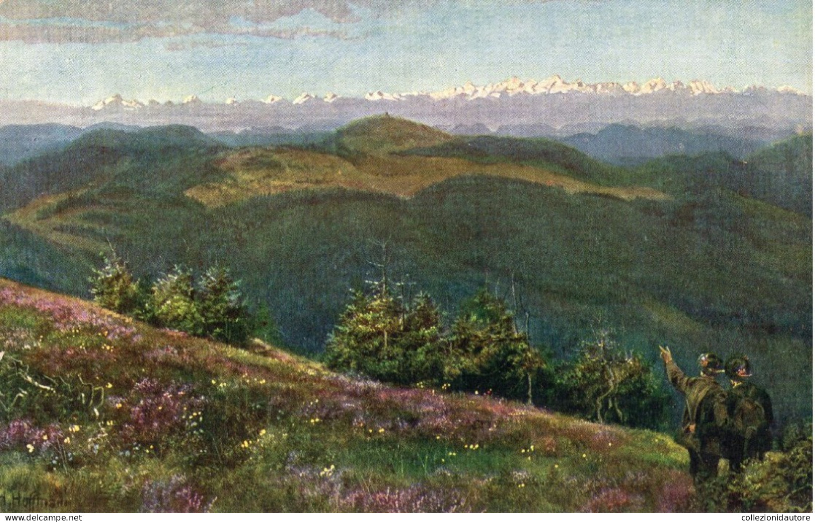 FELDBERG - BLICK AUF DAS HERZOGENHORN UND DIE ALPENKETTE - CARTOLINA FP NON UTILIZZATA - Feldberg