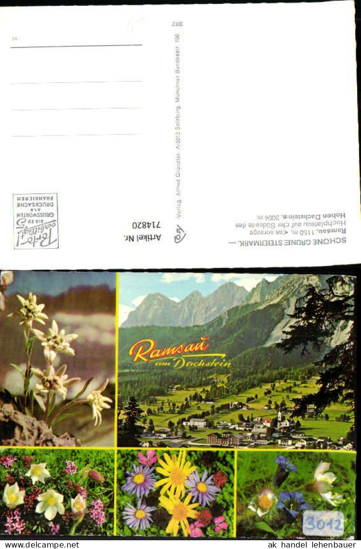714820 Mehrbild AK Ramsau A. Dachstein Alpenflora Enzian Edelweiß - Ramsau Am Dachstein