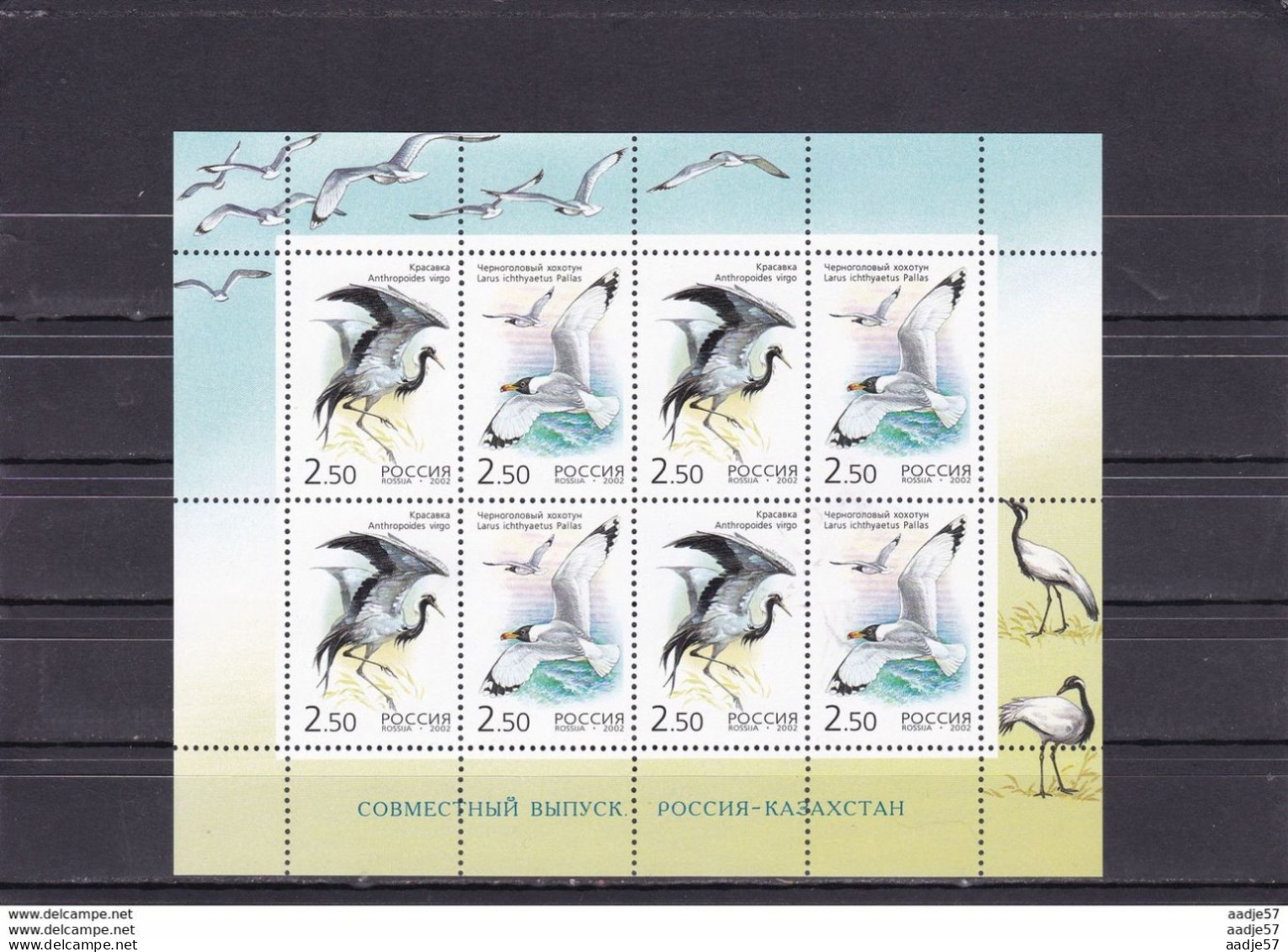 Russia 2002 With Kazakhstan Joint Issues Birds Crane Gull Larus Sheet Mi 1008-1009 Sc 6709 MNH** - Möwen