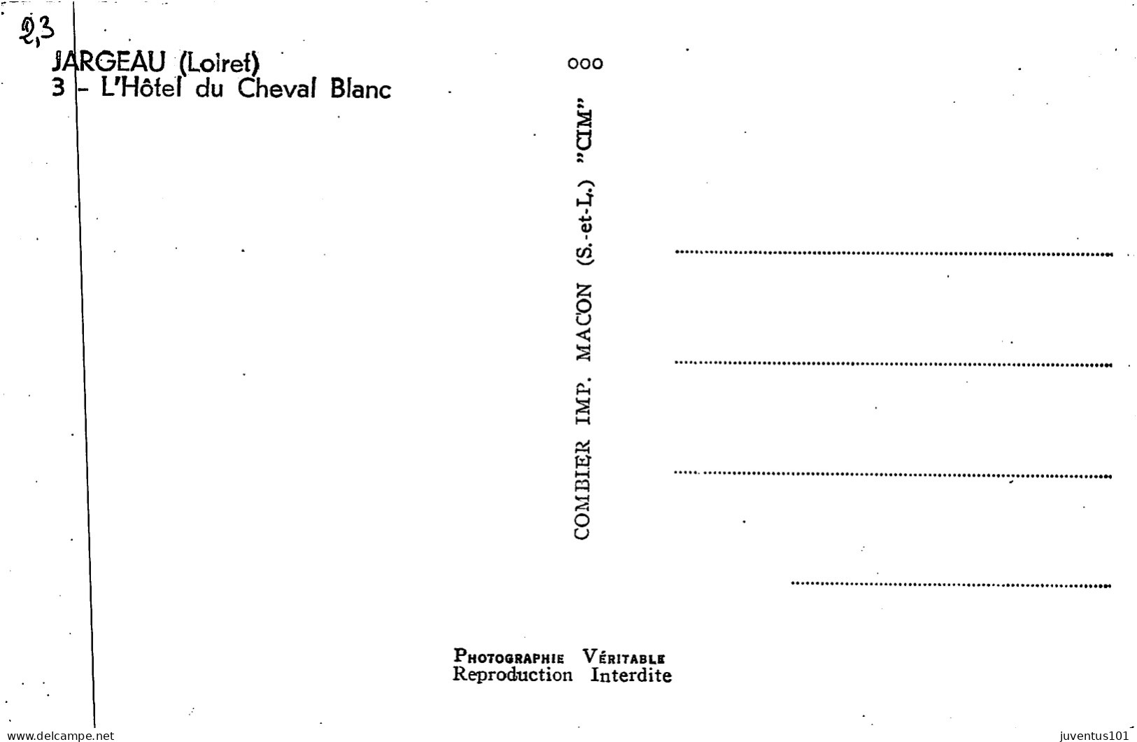 CPSM Jargeau-L'hôtel Du Cheval Blanc-3   L2785 - Jargeau