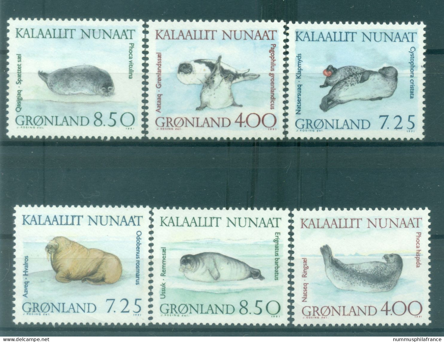 Groenland   1991 - Y & T N. 199/204 - Faune Marine  (Michel N. 211/16) - Ungebraucht