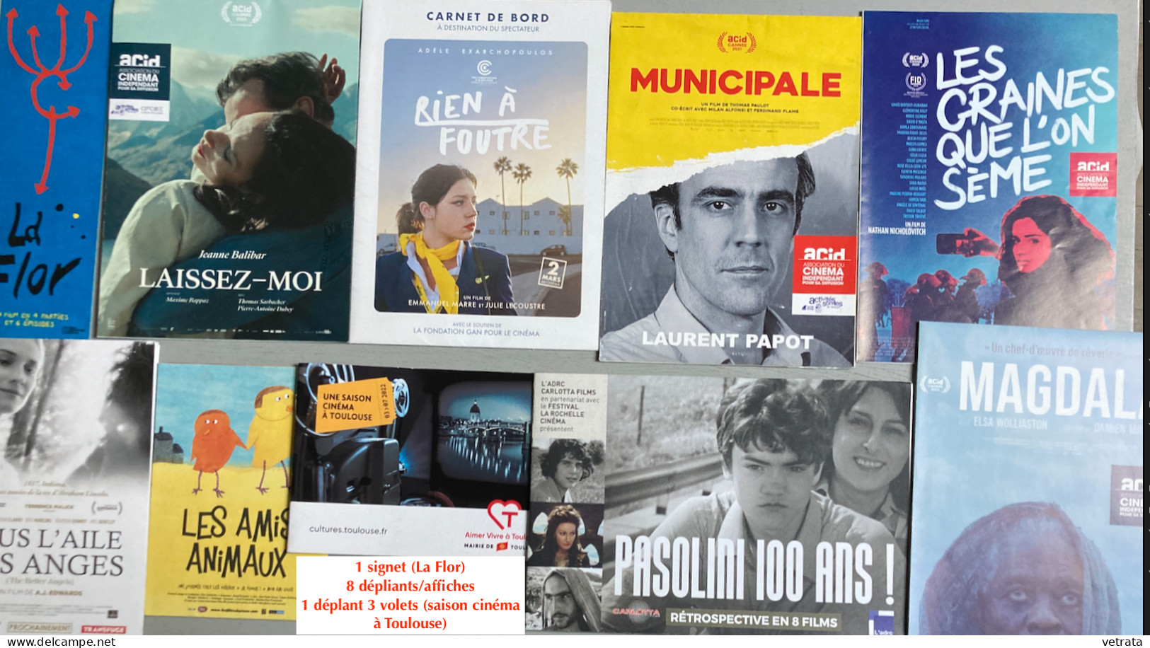 Cinéma : 63 Articles = 14 Livrets-Brochures-Programmes/27 Cartes/9 Dépliants-Affichettes/10 Plaquettes 4 Pages/1 Déplian - Altri & Non Classificati