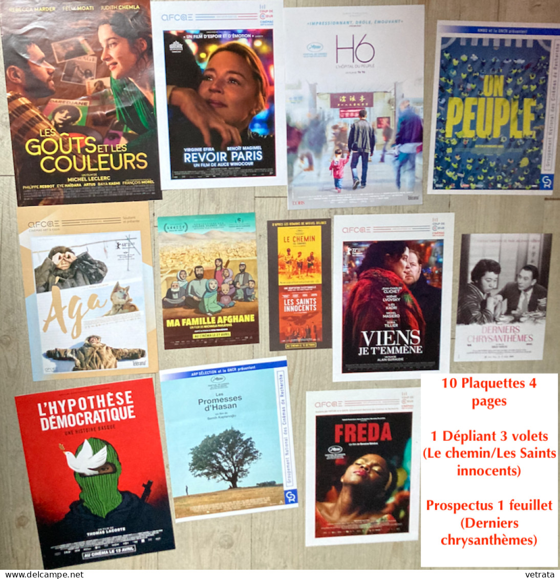 Cinéma : 63 Articles = 14 Livrets-Brochures-Programmes/27 Cartes/9 Dépliants-Affichettes/10 Plaquettes 4 Pages/1 Déplian - Andere & Zonder Classificatie