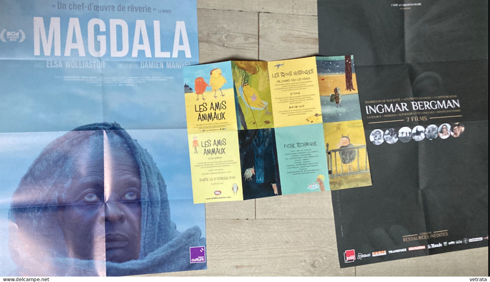 Cinéma : 63 articles = 14 Livrets-Brochures-Programmes/27 Cartes/9 Dépliants-Affichettes/10 Plaquettes 4 pages/1 Déplian