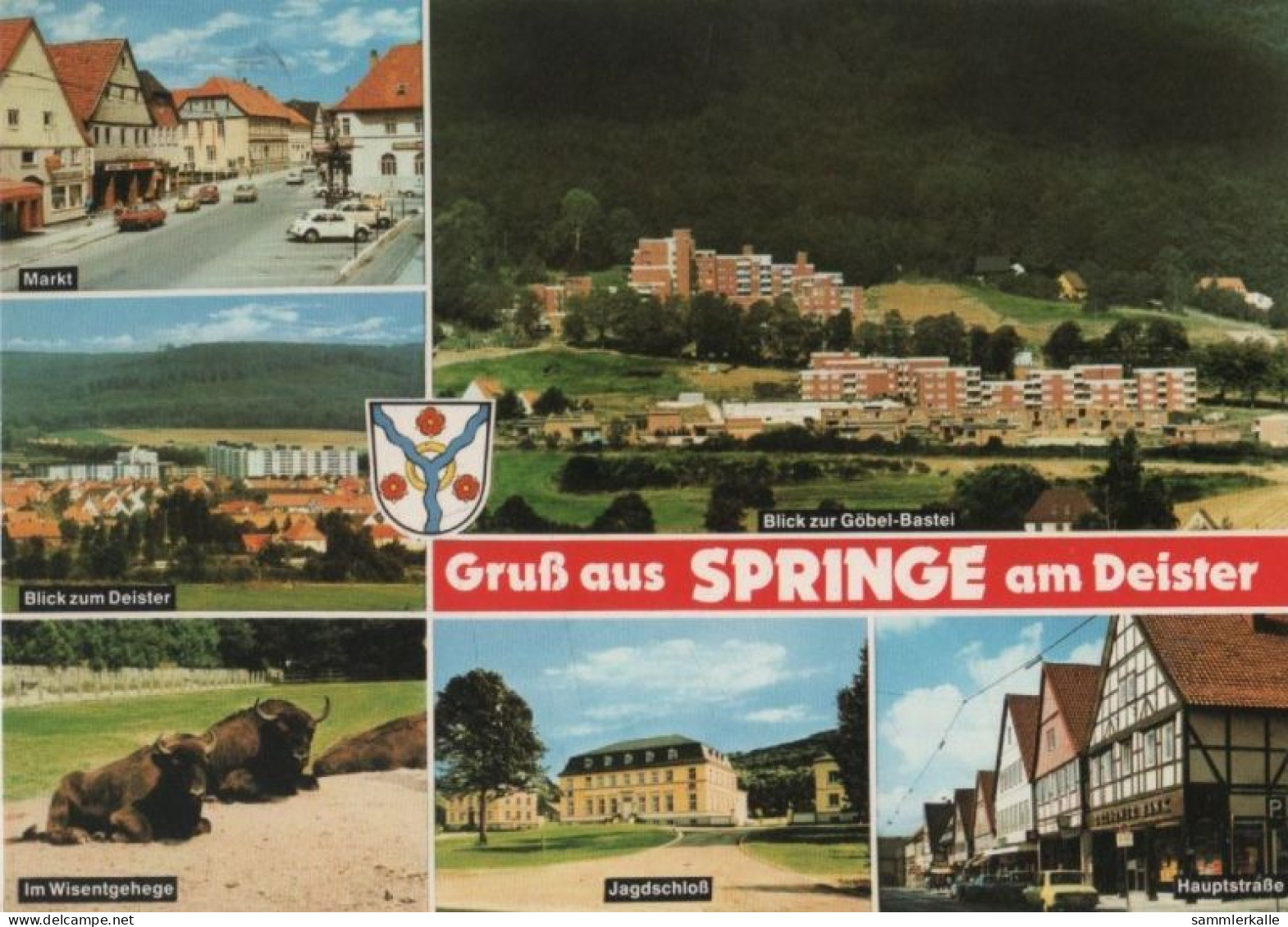 97217 - Springe - U.a. Im Wisentgehege - 1980 - Springe