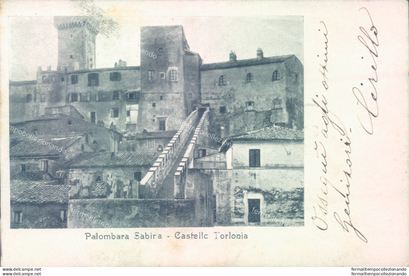 Ae233 Cartolina Palombara Sabina Castello Torionia Provincia Di Rieti - Rieti