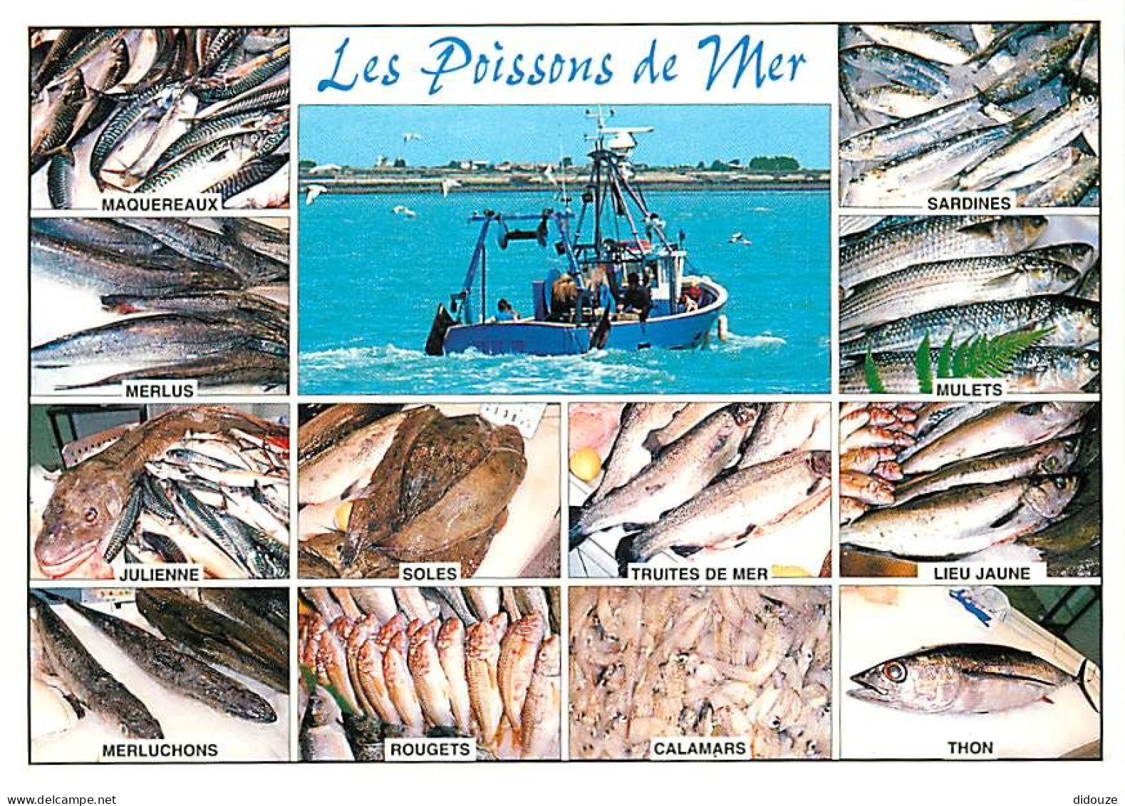 Recettes De Cuisine - Poissons De Mer - Multivues - Carte Neuve - Gastronomie - CPM - Voir Scans Recto-Verso - Recettes (cuisine)