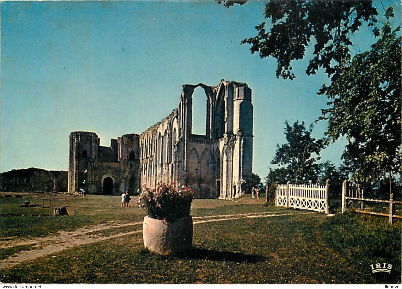 85 - Maillezais - L'Abbaye Saint Pierre - CPM - Voir Scans Recto-Verso - Maillezais