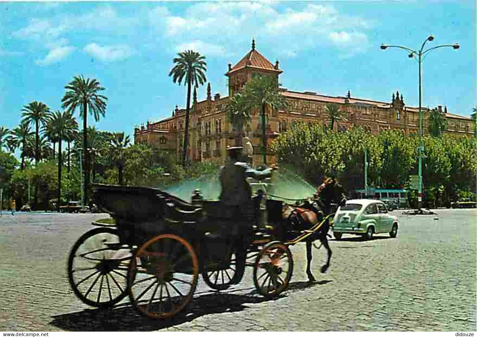 Animaux - Chevaux - Espagne - Séville - Sevilla - Plaza Calvo Sotelo Y Hôtel Alfonso XIII - Place Calvo Sotelo Et Hôtel  - Pferde
