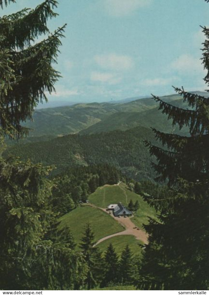 99378 - Münstertal - Almgaststätte Kälbelescheuer - Ca. 1980 - Muenstertal