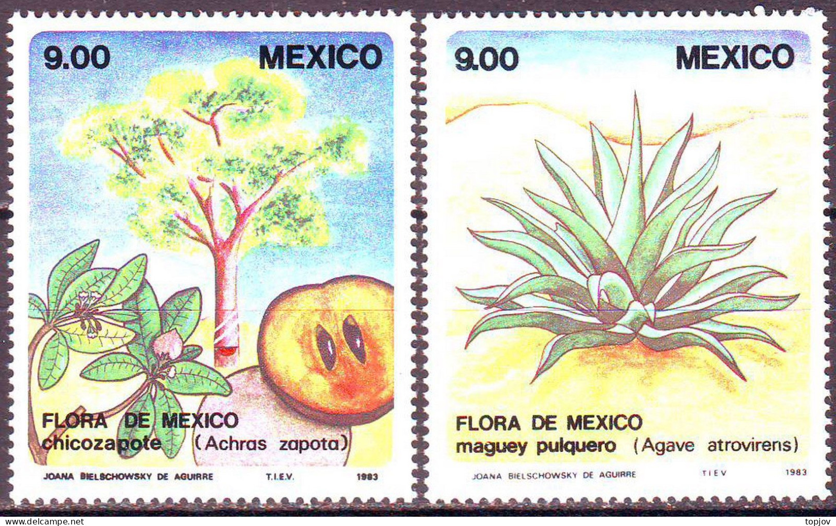 MEXICO - AGAVE  TREES - **MNH - 1983 - Trees