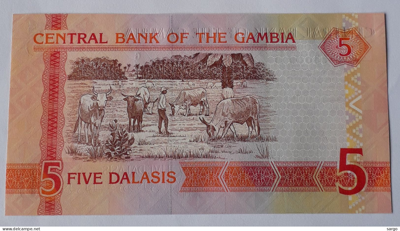 GAMBIA - 5 DALASIS -  P 255  (2013) - UNC - BANKNOTES - PAPER MONEY - - Gambie