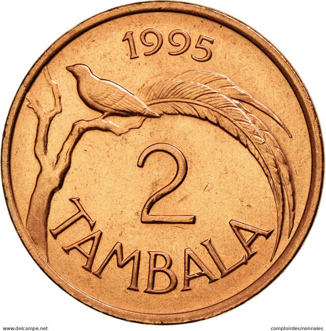 Monnaie, Malawi, 2 Tambala, 1995, TTB, Copper Plated Steel, KM:25 - Malawi