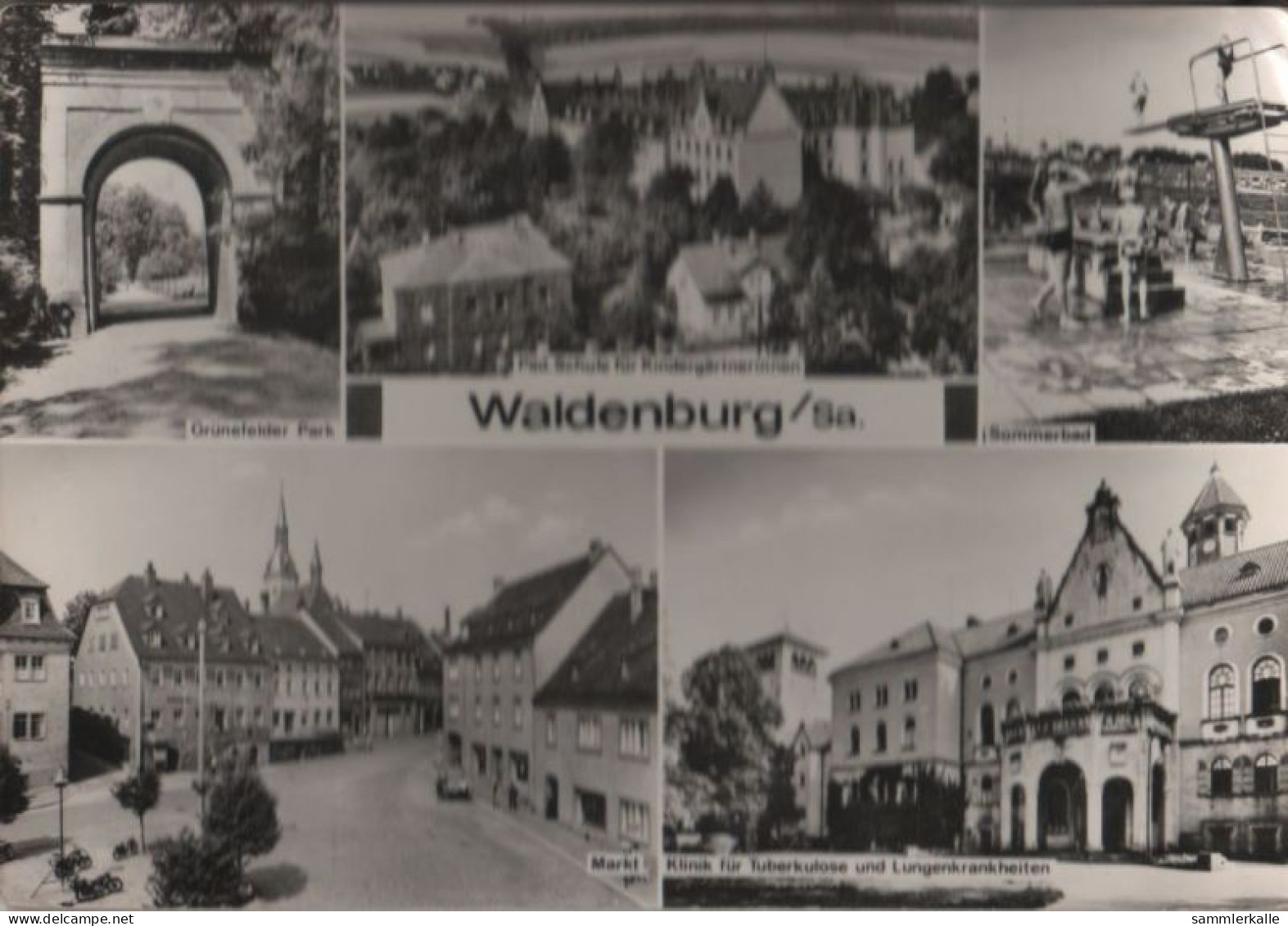 50958 - Waldenburg - U.a. Grünefelder Park - 1976 - Waldenburg (Sachsen)