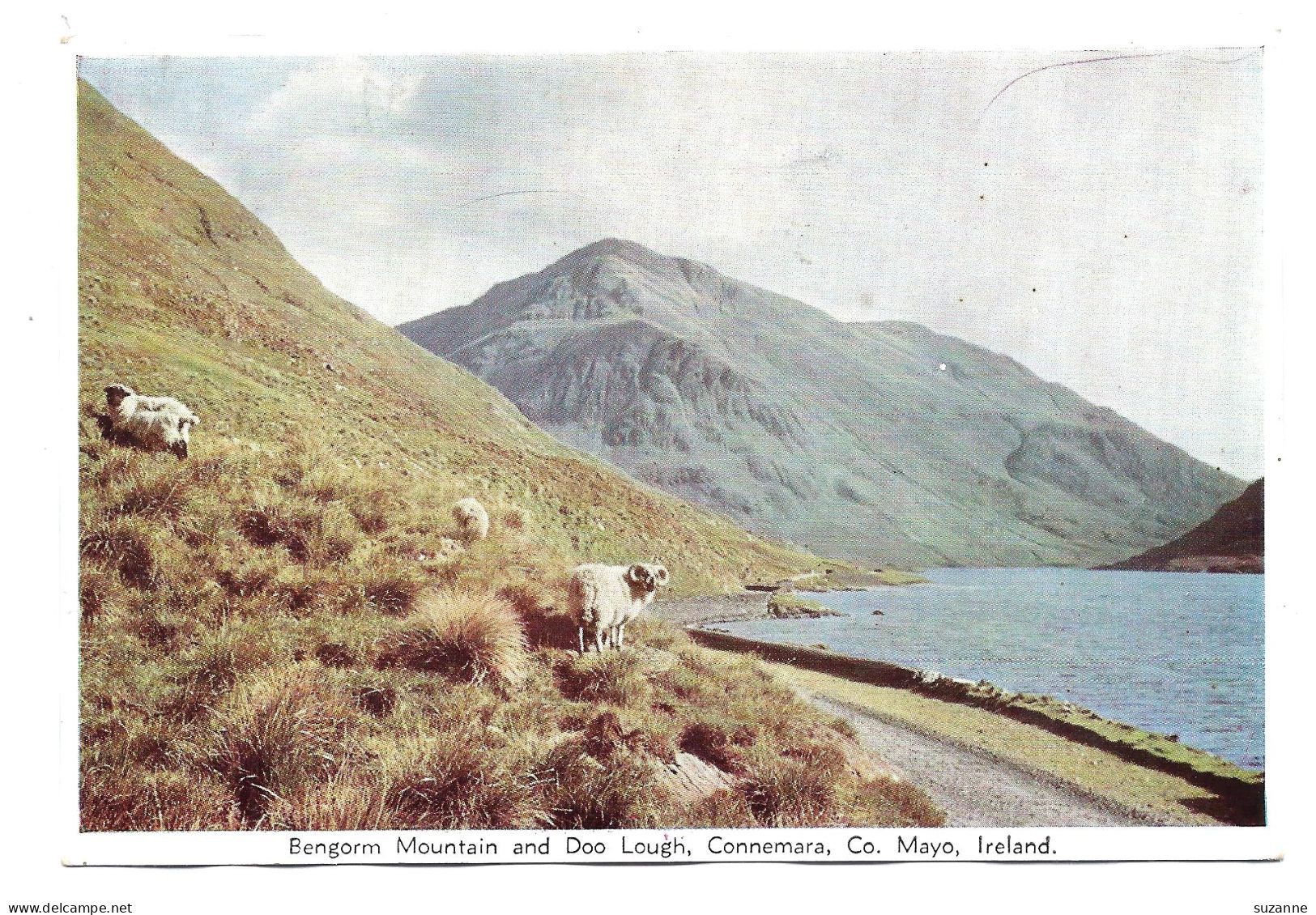 BENGORM Mountain And DOO LOUGH CONNEMARA - Co. MAYO - Mayo