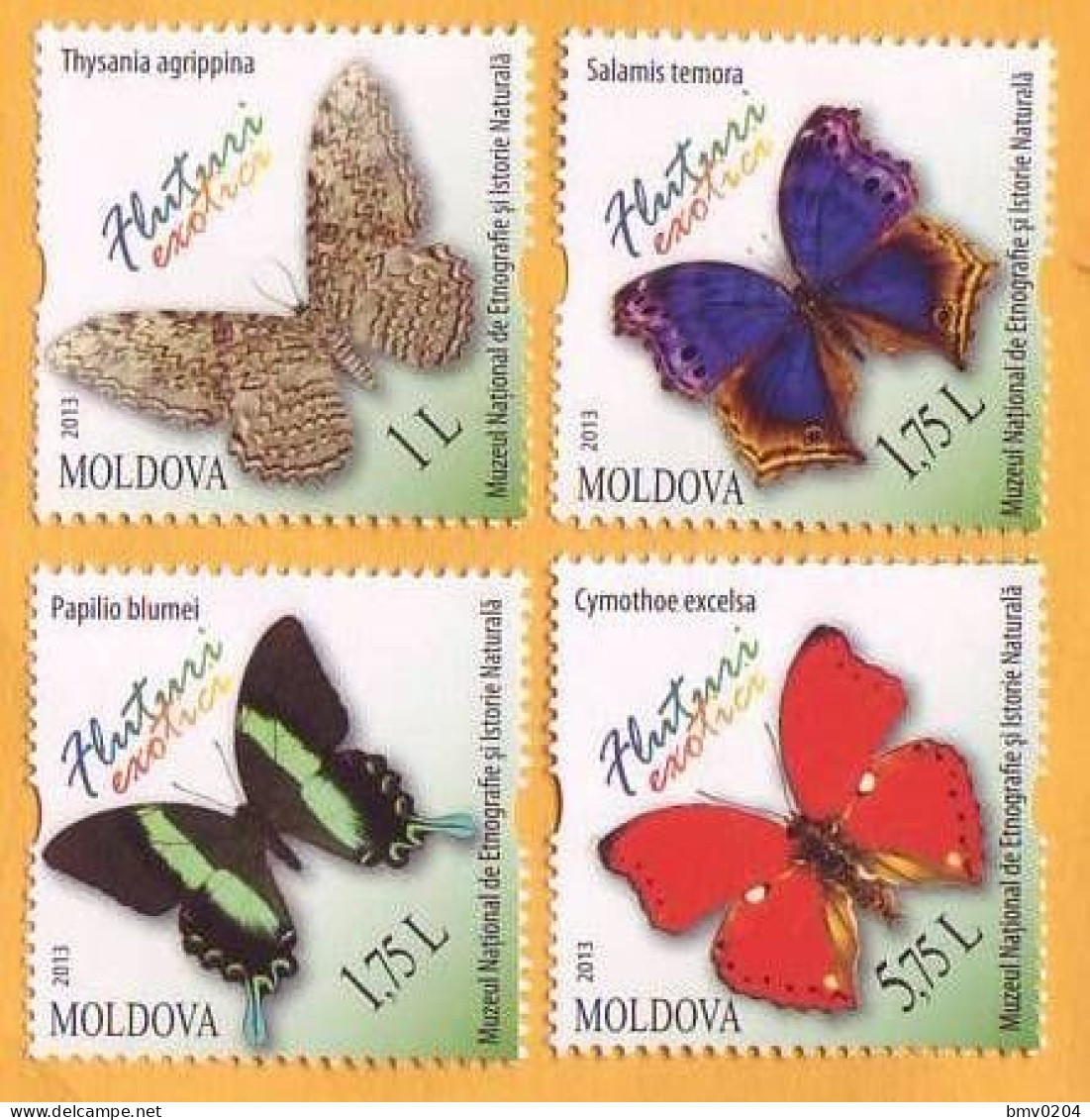 2013 Moldova Moldavie Moldau  Butterflies, Fauna, Insects, 4v Mint - Butterflies