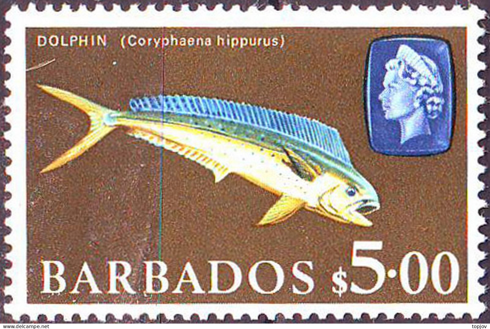 BARBADOS - FISHES - DOLPHIN- **MNH - 1965 - Dolphins