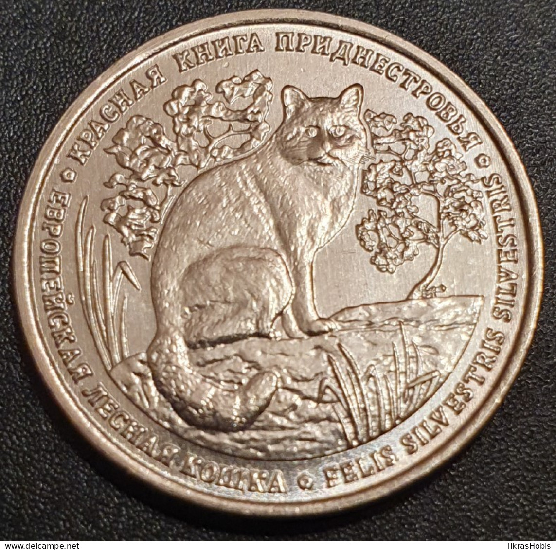 Moldova, Transnistria 1 Ruble, 2020 European Wild Cat UC237 - Moldova