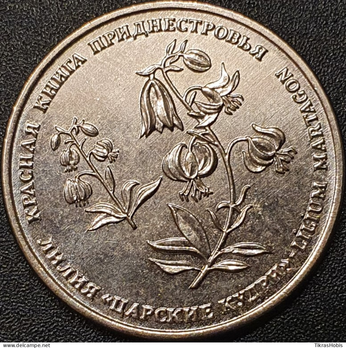 Moldova, Transnistria 1 Ruble, 2019 Forest Lily UC192 - Moldavia