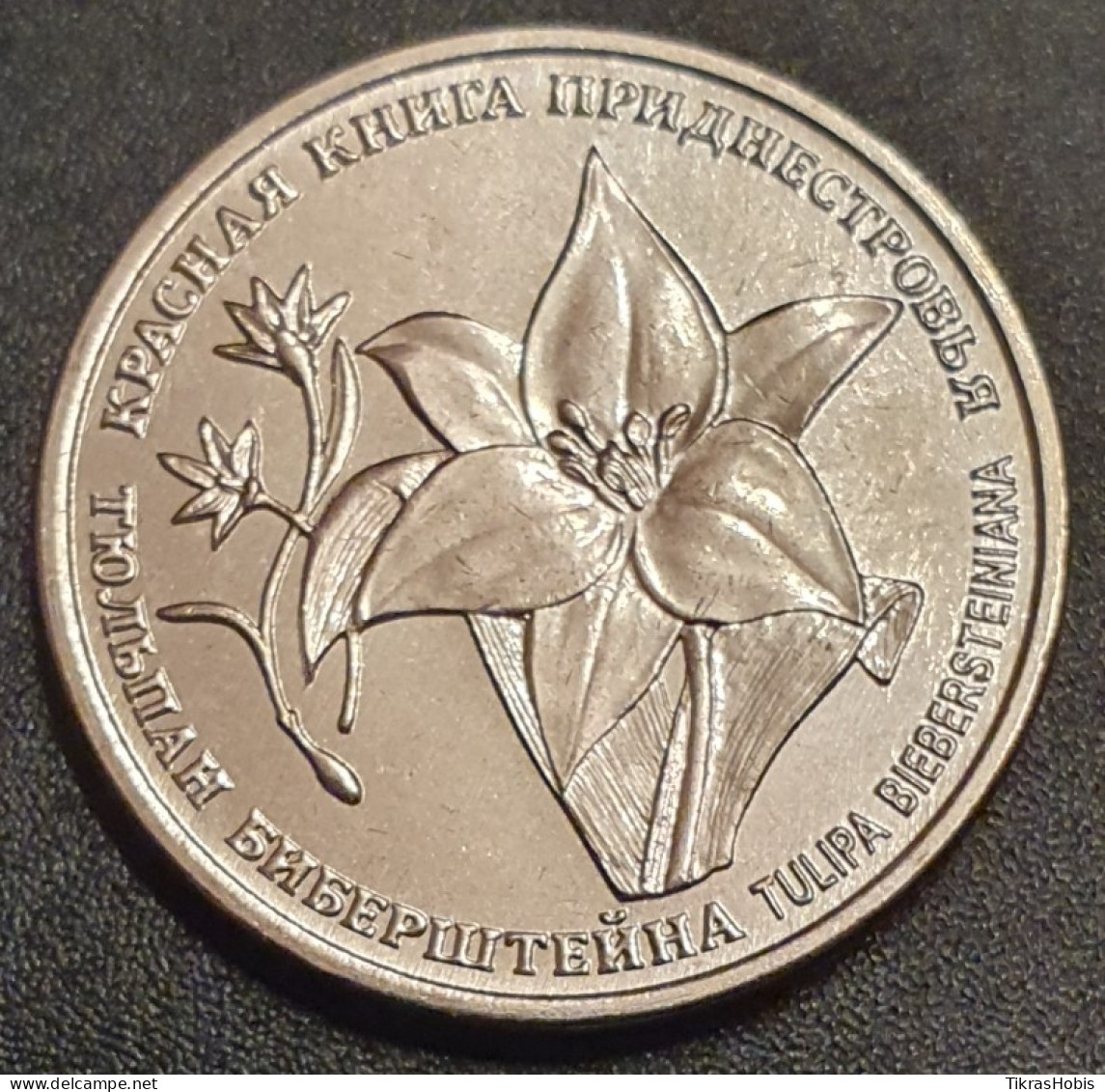 Moldova, Transnistria 1 Ruble, 2019 Biebetein Tulip UC183 - Moldavië