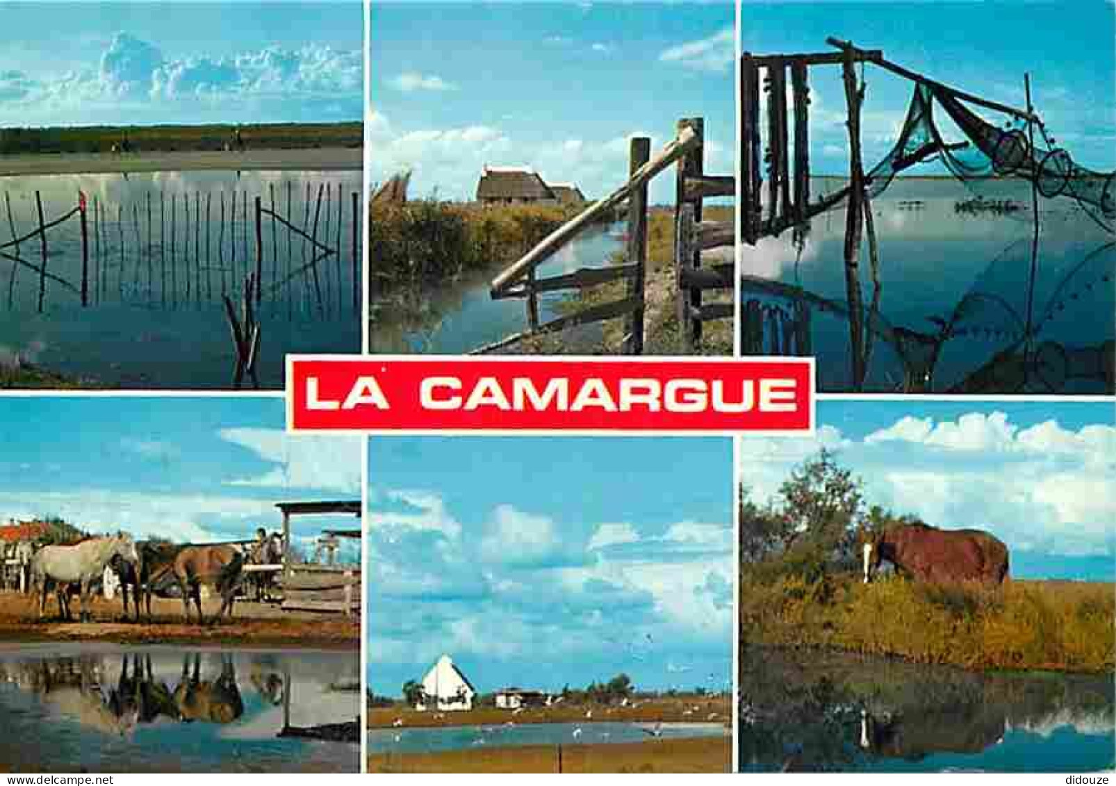 Animaux - Chevaux - Camargue - Multivues - Carte Neuve - CPM - Voir Scans Recto-Verso - Pferde