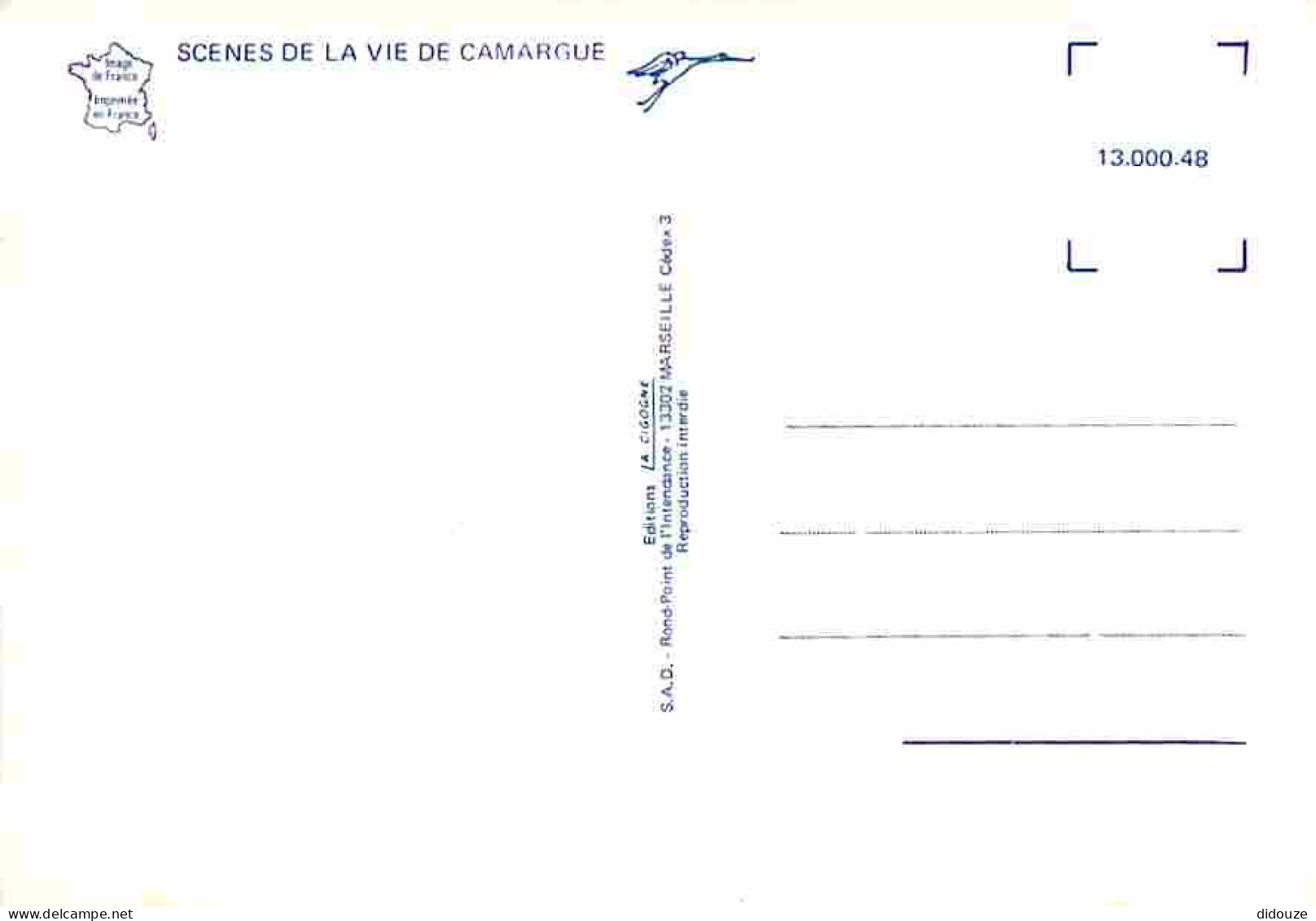 Animaux - Chevaux - Camargue - Multivues - Carte Neuve - CPM - Voir Scans Recto-Verso - Pferde