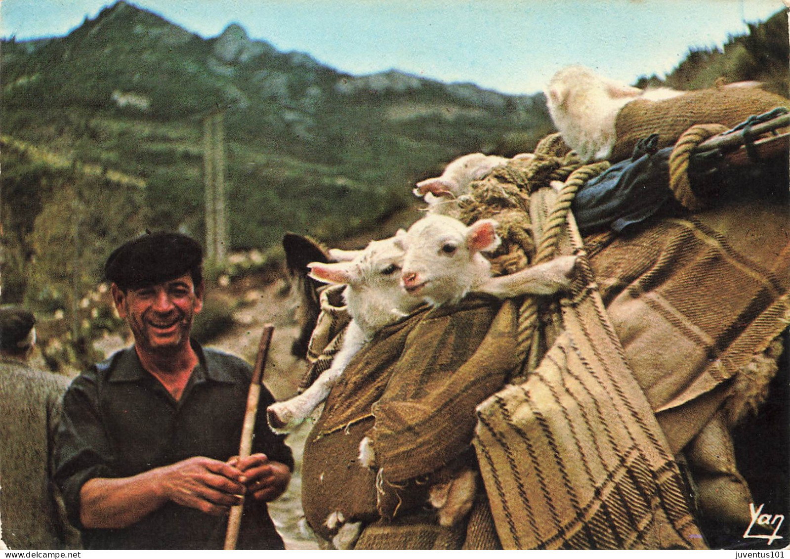 CPSM Transhumance En Aragon-Timbre     L2784 - Andere & Zonder Classificatie