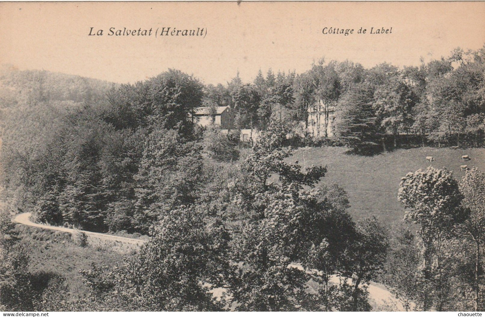 LA SALVETAT   Cottage De Label - La Salvetat