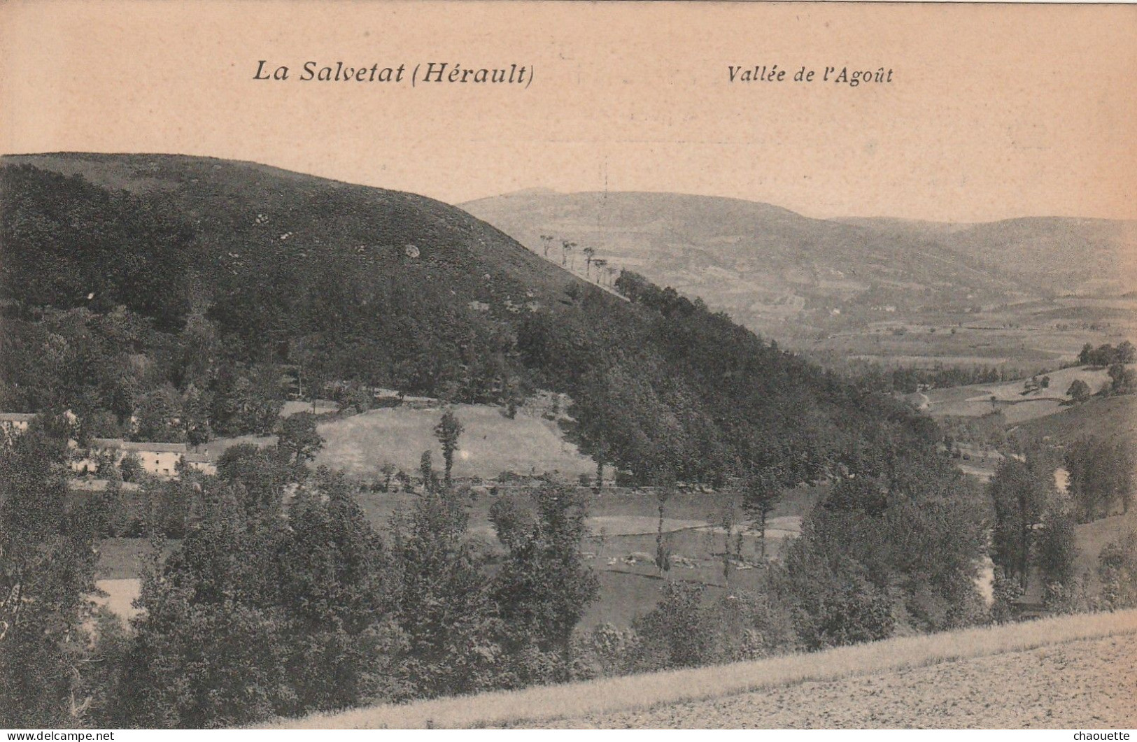 LA SALVETAT   Vallee De L Agout - La Salvetat