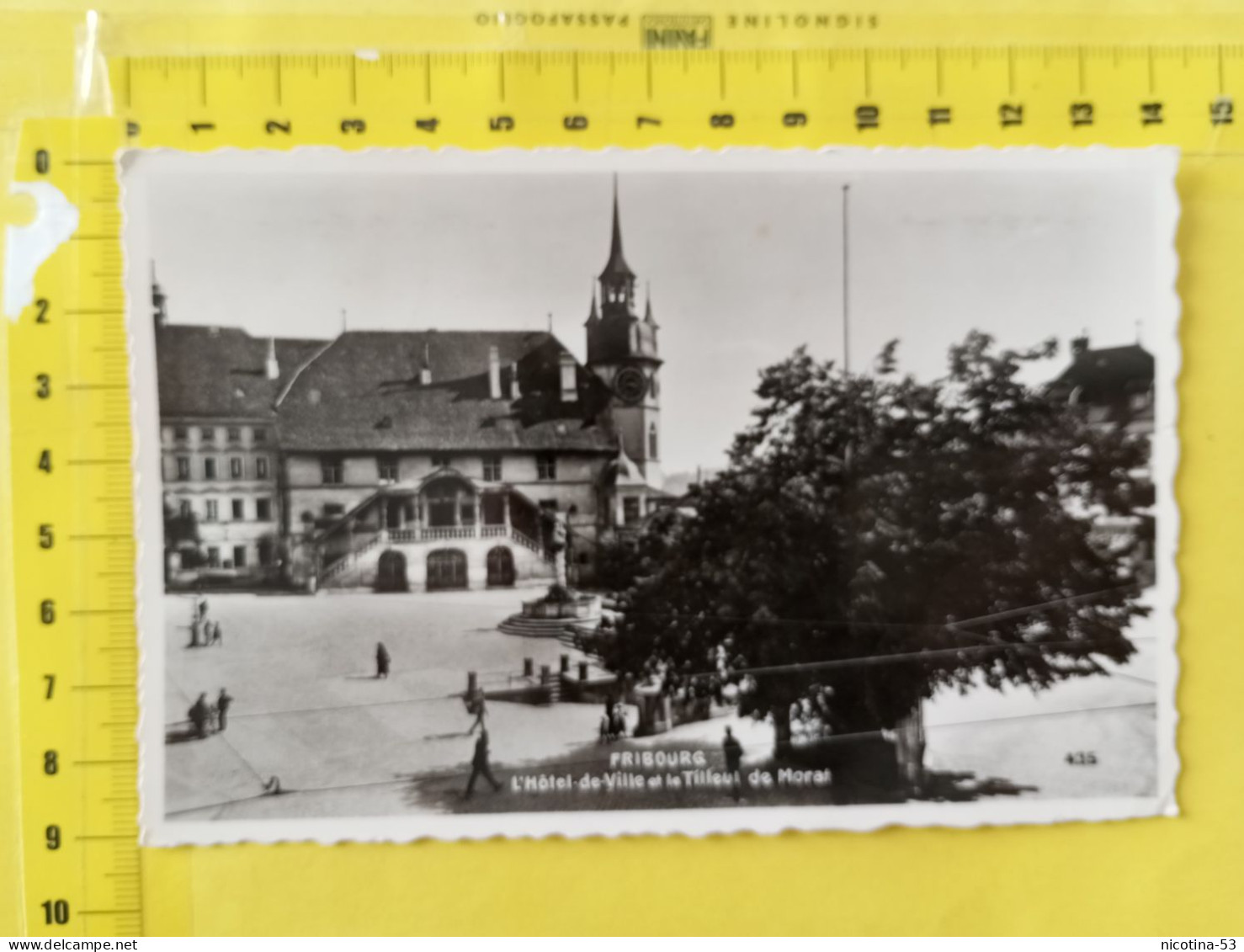 CT-06080- FRIBOURG - L'HOTEL DE VILLE ET LE TILLEUL DE MORAT - Fribourg