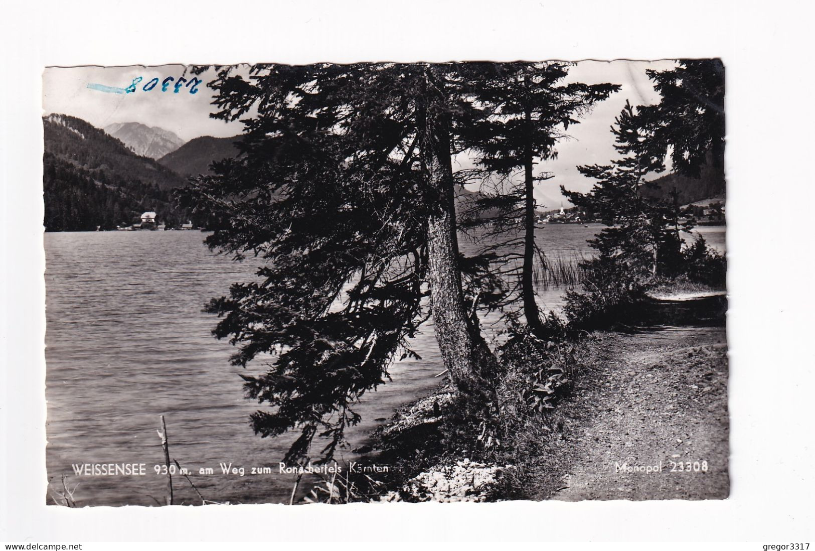 E6060) WEISSENSEE - Am Weg Zum Ronacherfels - Kärnten S/W FOTO AK - Weissensee