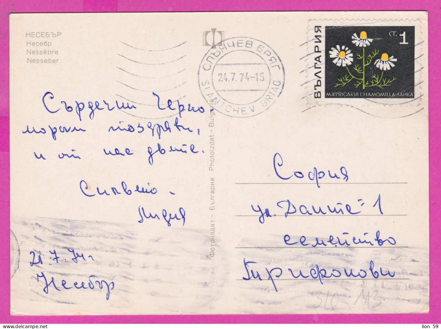 310113 / Bulgaria - Nessebar - Church Windmill Port Boat PC 1974 Sunny Beach Used 1 St. Matricaria Medicinal Plant - Piante Medicinali