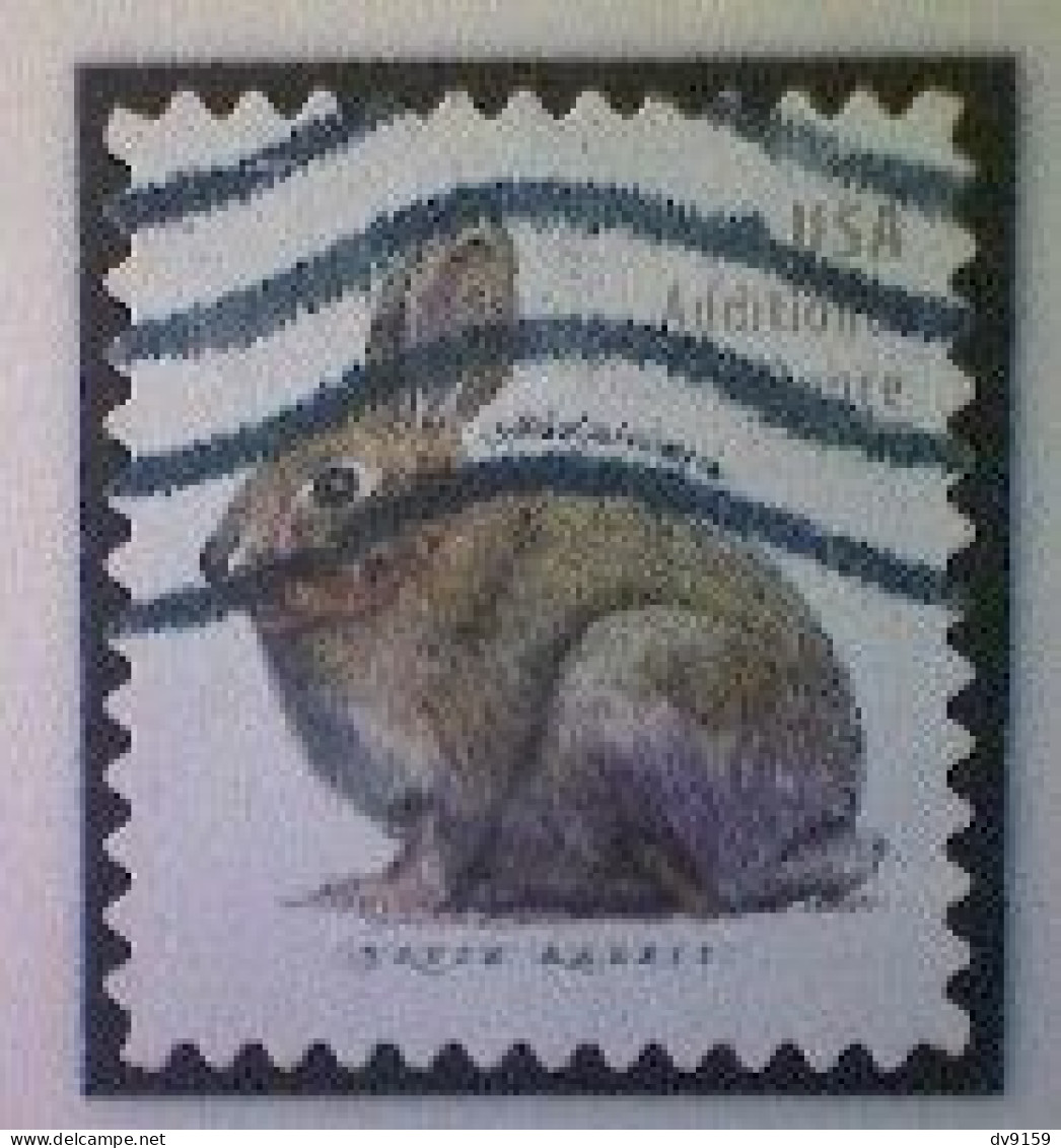 United States, Scott #5544, Used(o), 2021 Definitive, Brush Rabbit, (20¢), Gray - Oblitérés