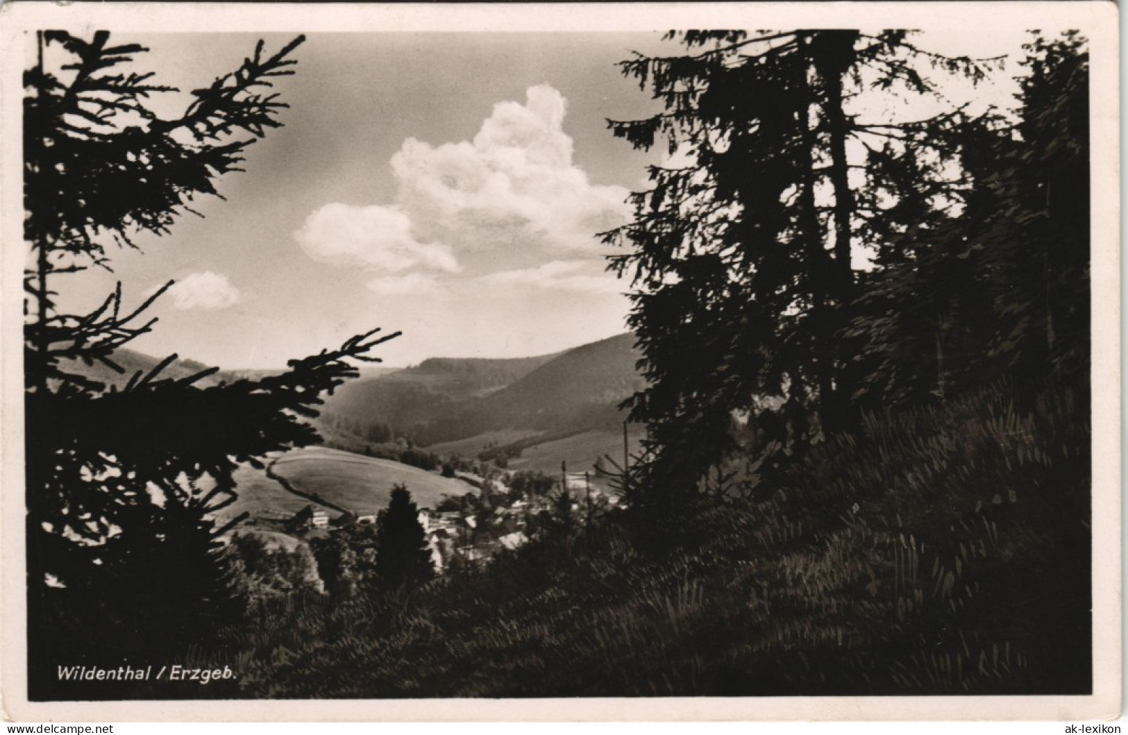 Ansichtskarte Wildenthal-Eibenstock Panorama-Ansicht, Erzgebirge 1940 - Eibenstock