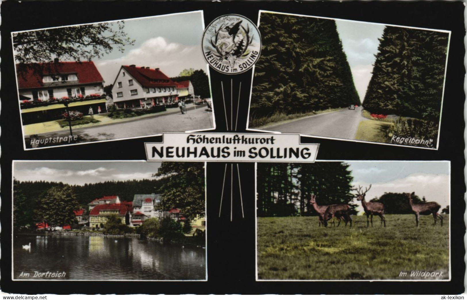 Neuhaus Im Solling-Holzminden Mehrbild-AK  Dorfteich, Hauptstrasse Uvm. 1963 - Holzminden