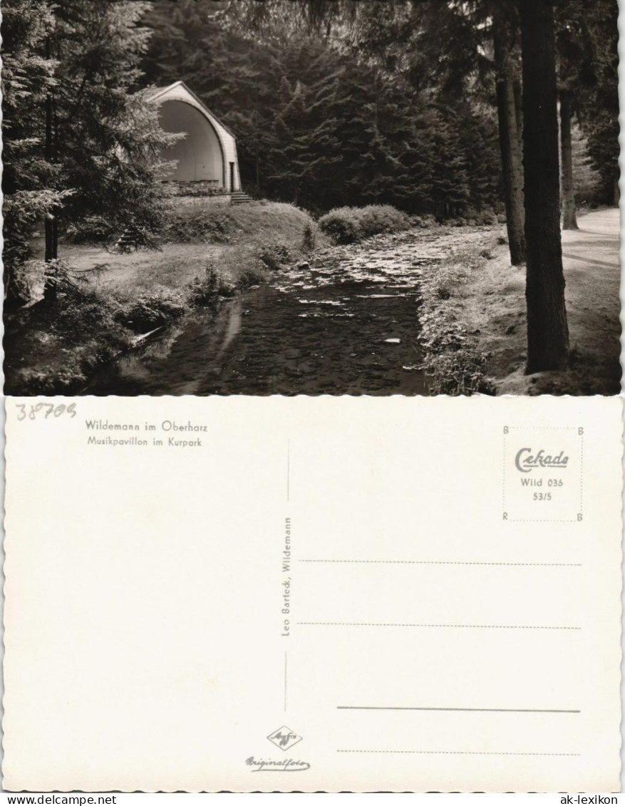 Ansichtskarte Wildemann (Innerstetal) Musikpavillon Im Kurpark 1953 - Wildemann