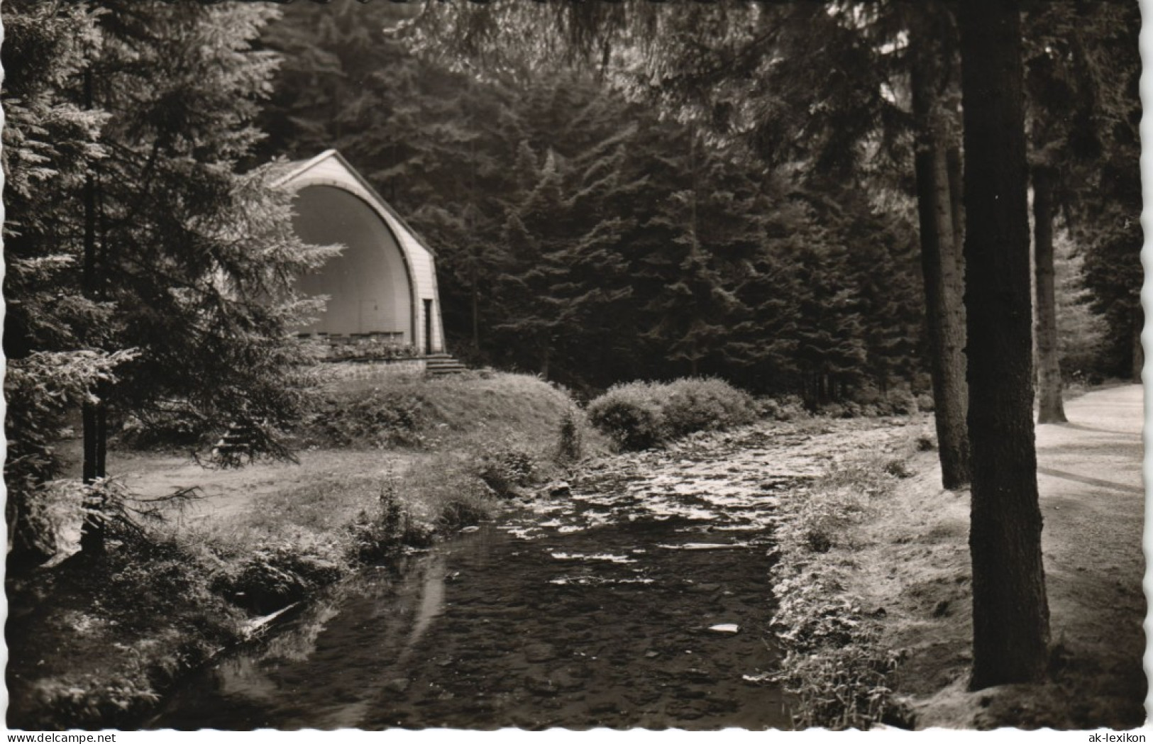 Ansichtskarte Wildemann (Innerstetal) Musikpavillon Im Kurpark 1953 - Wildemann